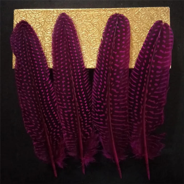 pearl pheasant feathers 1 (5)