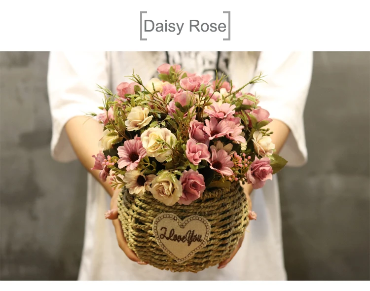11 Daisy Rose 1