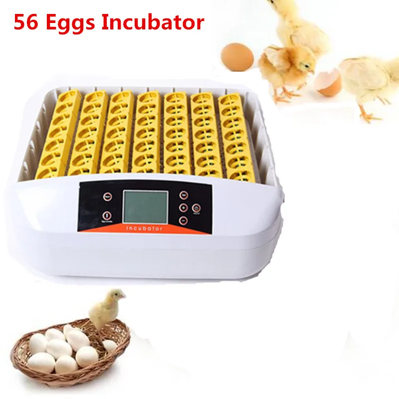 

Home use commercial 56 eggs mini egg incubator full automatic intelligent hatchery equipment cheap price for sale