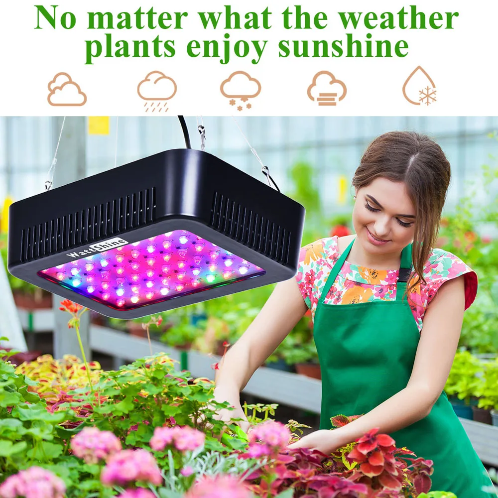 grow lamp