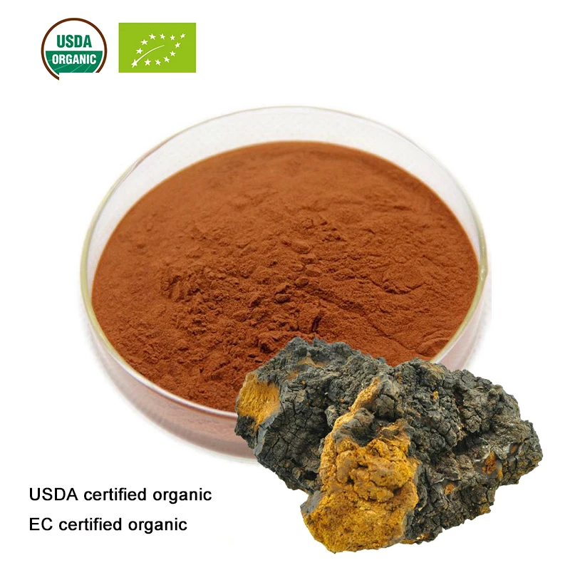 

USDA and EC Certified Organic Chaga mushroom extract 10:1 Polysaccharides