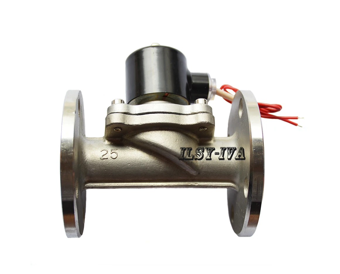 G" DC24V сжиженного газа фланцы из нержавеющей стали Соленоидный клапан