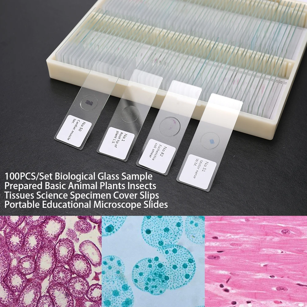 100 шт./компл. микроскоп слайды биологический стеклянный образец подготовлено основные растения животных насекомые ткани Science образец крышка слипы
