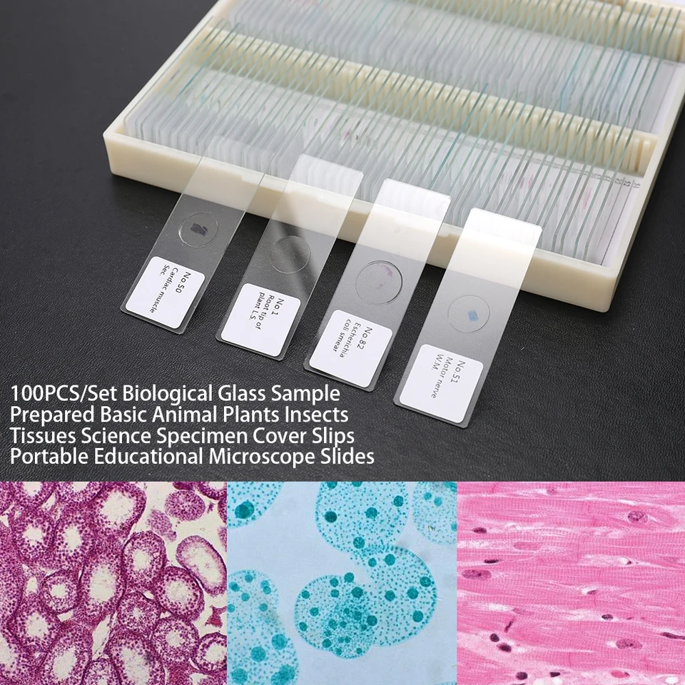 100pcs Set Microscope Slides Biological Glass Sample Prepared Basic Animal Plants Insects Tissues Science Specimen Cover Slips Microscope Parts Accessories Aliexpress