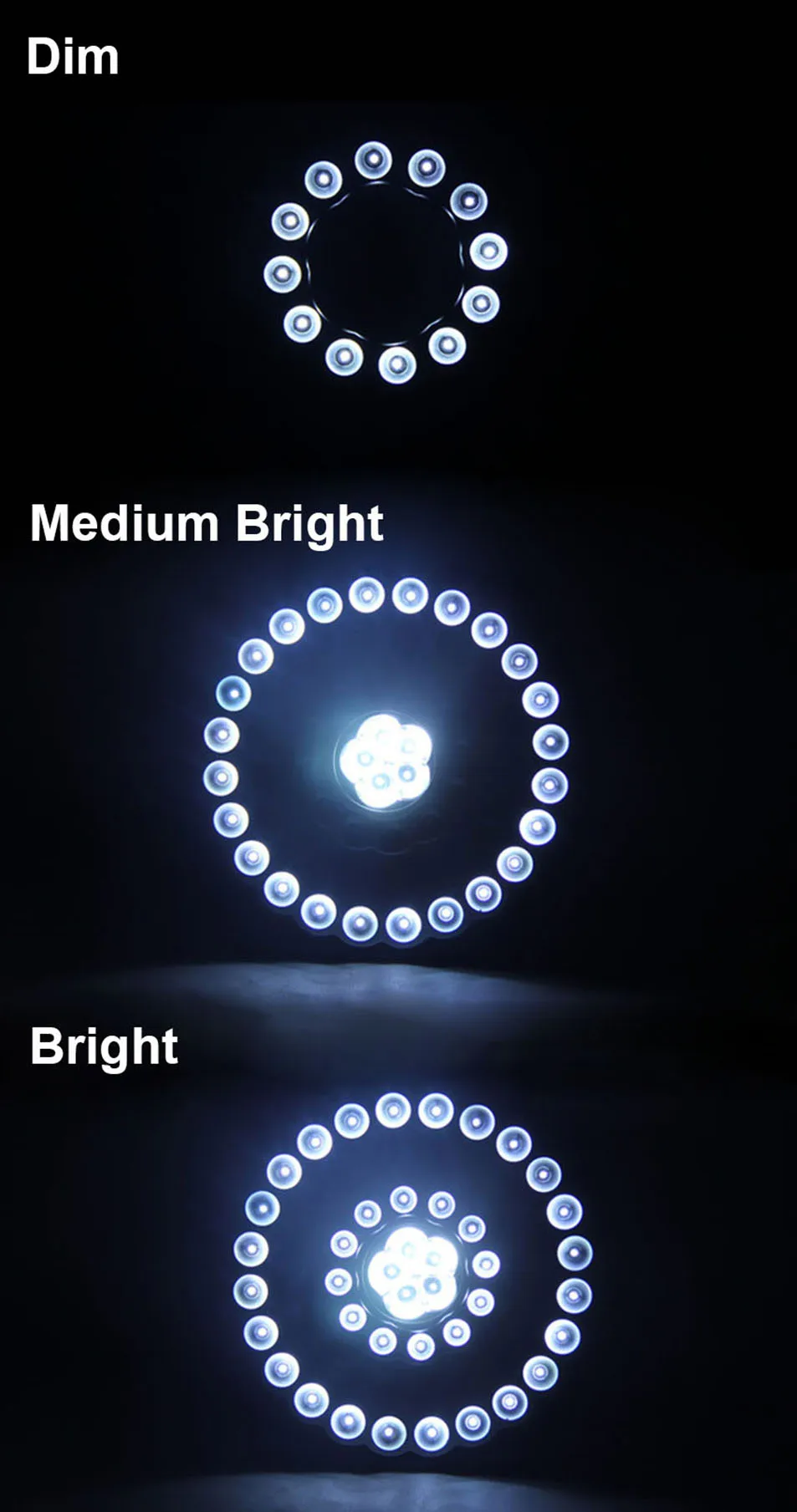 2198227416_86520380