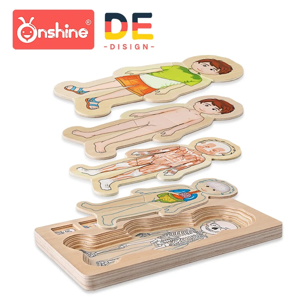 

Ohshine wooden toys 3d puzzle educational toys for children shine wood learning toys Boy and girl body structure cognition