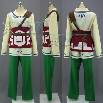 

2016 Anime The Legend of Zelda Zelda Link Cosplay Costume Fighting Clothing