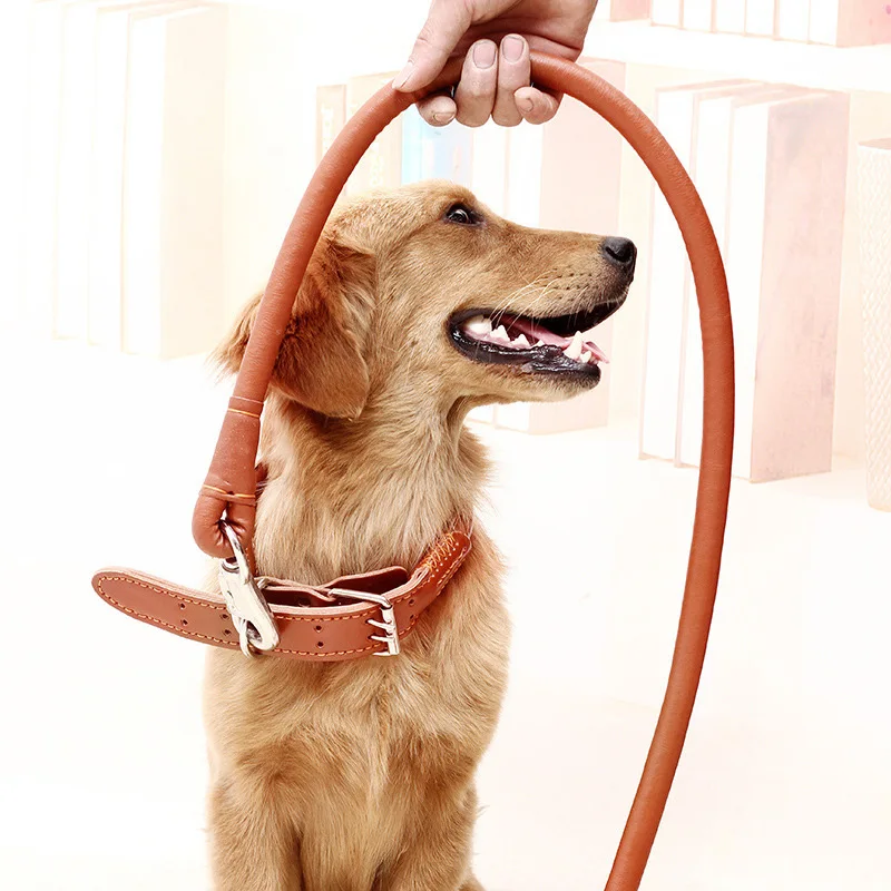 Leather Dog Collars and Leashes (4)