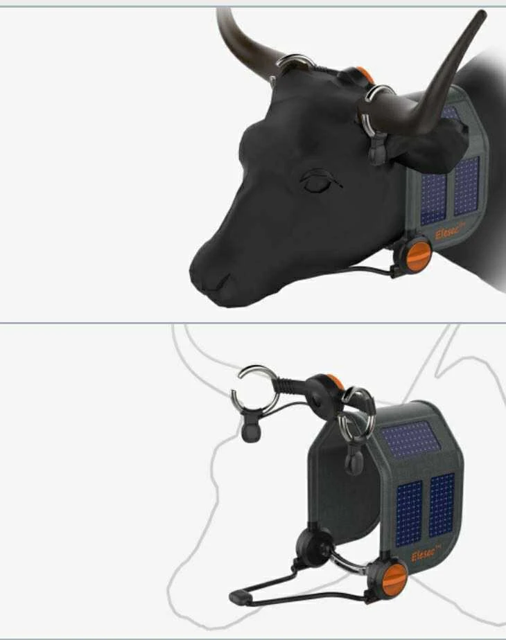 animal produce store