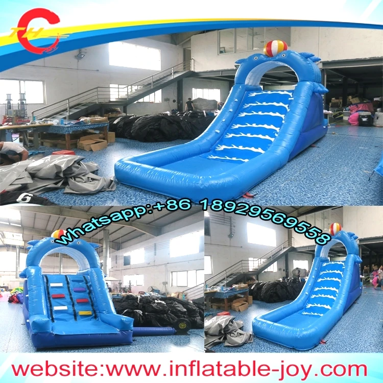 dolphin inflatable water slide