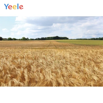 

Yeele White Clouds Yellow Wheat Harvest Field Autumn Photography Backgrounds Customized Photographic Backdrops for Photo Studio