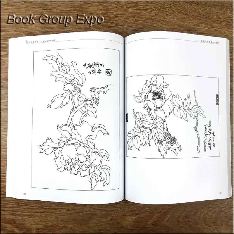 Китайская живопись линии, альбом для рисования цветной карандаш цветок пион цвет ing Bay miao книга гравировка шаблон для начинающих