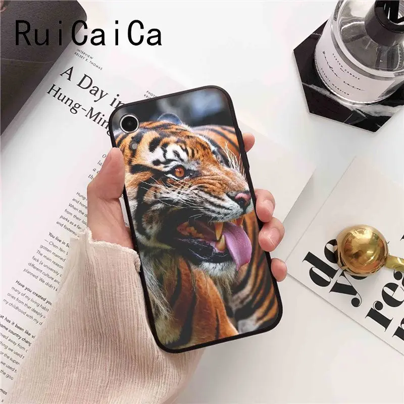 tiger fashion