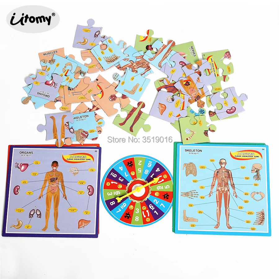 DIY 3D Human Body Structure Puzzle Board Game  Paper Jigsaw Floor Puzzle Educational Toys For Children 1-4 players chinese painting baimiao character line draft meticulous painting line drawing manuscript human body structure dynamic sketching