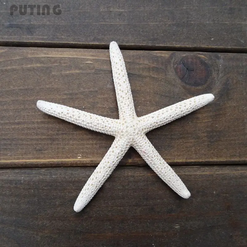 

12Pcs 2-4" White Starfish Five Finger Beach Coastal Wedding Decor Pretty Crafts GJT9038