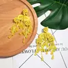 Flatfoosie Handmade Big Tassel Drop Earrings For Women Bohemian Vinatge Colorful Beaded Fringed Statement Dangle Earring Jewelry ► Photo 2/6