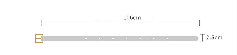 Deepeel 1 шт. 105*2,5 см женские модные корейские леопардовые пятнистые конские волосы декоративный ремень металлический Ретро дикая Пряжка брюки