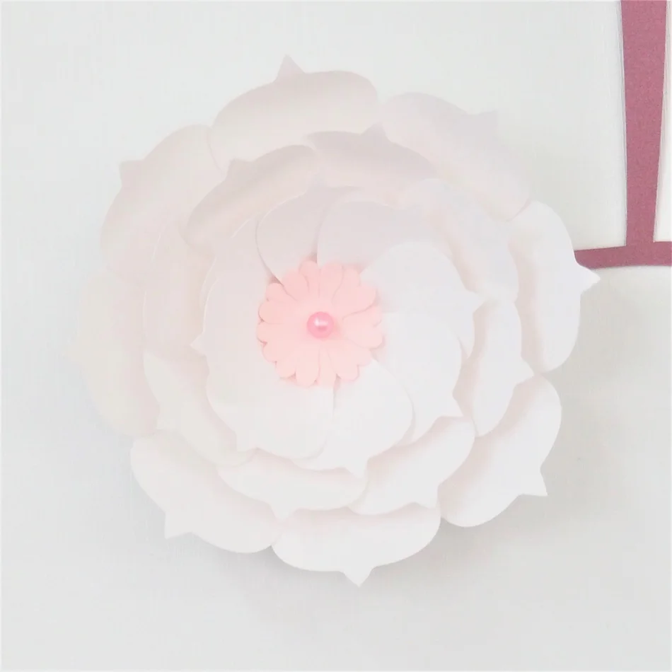 P6215633