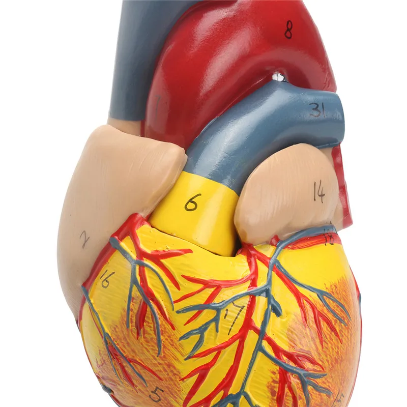 rB9kfVovhKWAUZYsAAKJ98JT7uo789