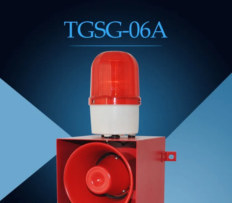 TGSG-06A_01