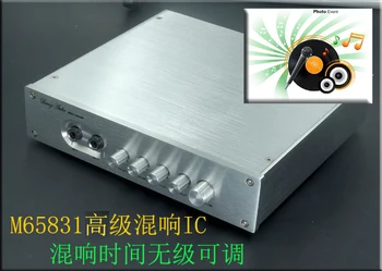

M65831 HiFi Amplifier Digital Karaoke Machine Preamplifier