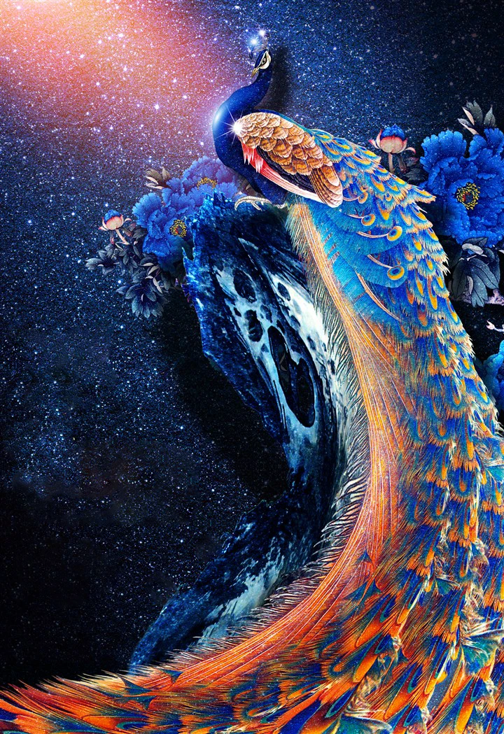 17