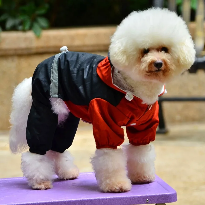 الشتاء الخريف الكلب الملابس معطف واق من المطر للماء وزرة السلع للحيوانات المعطف المطر مظلة معاطف ل تشيهواهوا الستر جرو