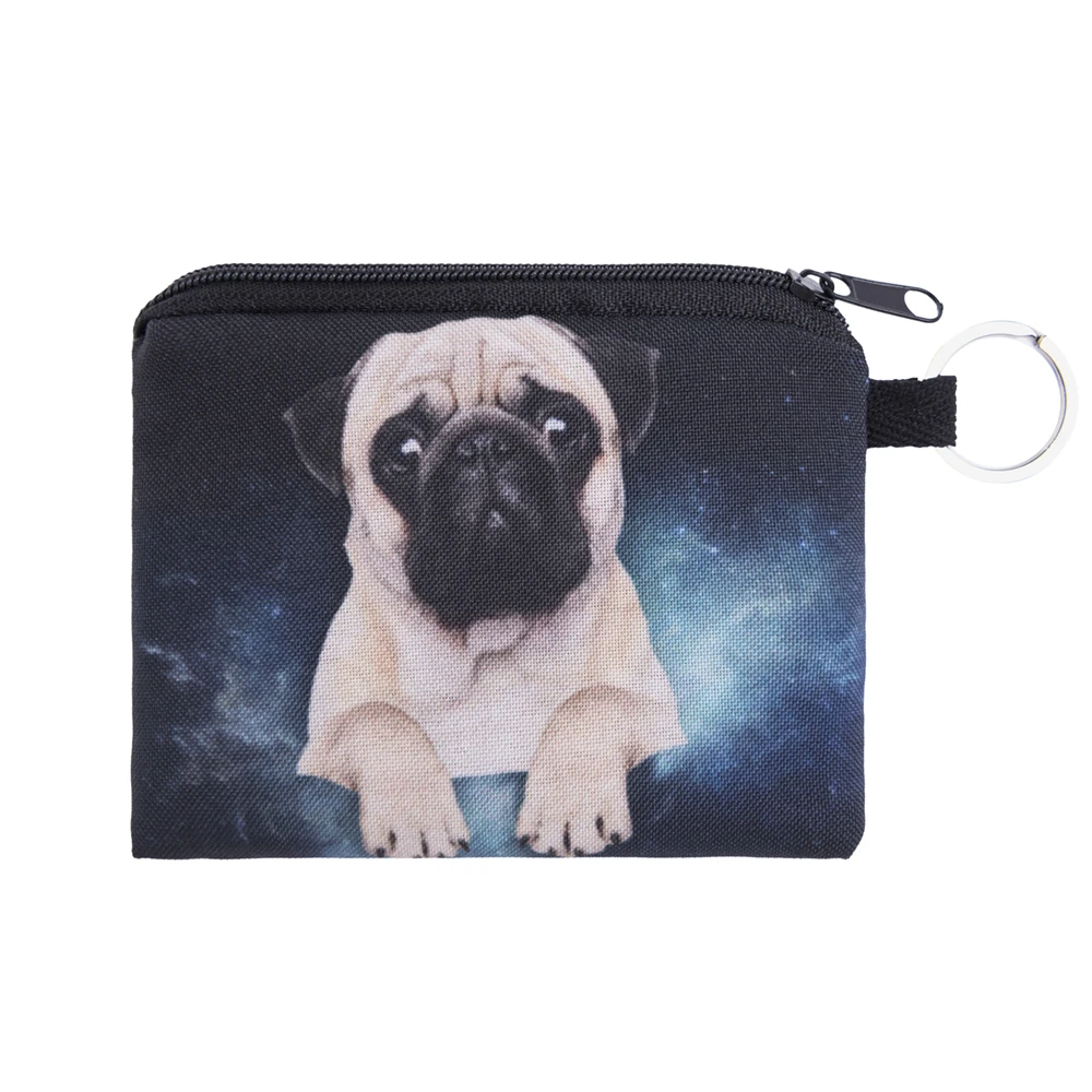 40086 pug galaxy (2)
