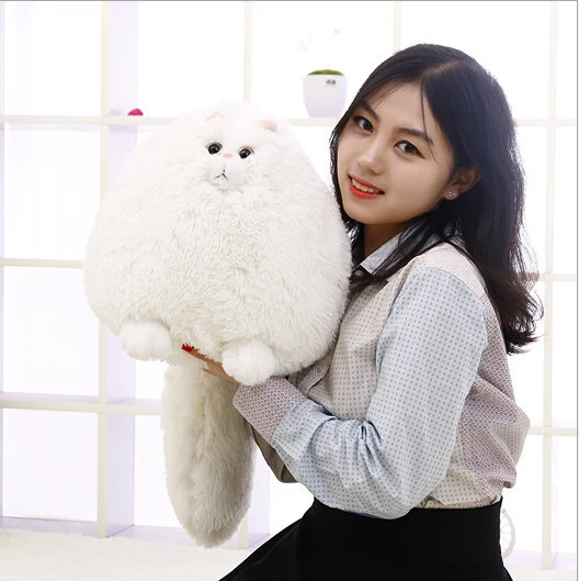 30cm Korea Cute Fat Persian Cat Plush Toy Persian Cat Soft Stuffed Doll