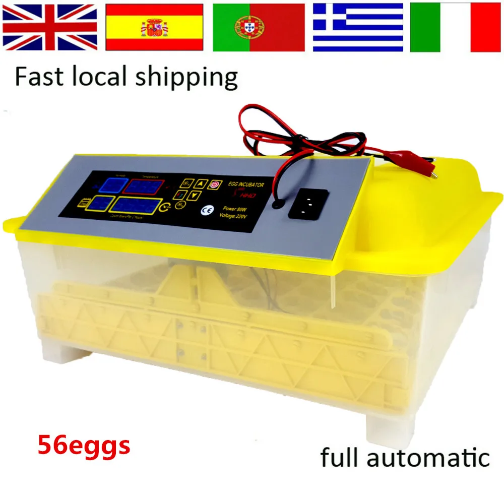 Machine Mini 56 Chicken Automatic Egg Incubators Sale Auto Turn for