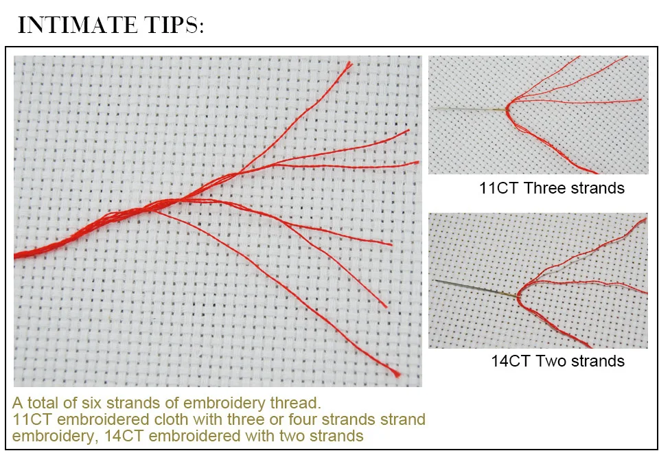 HTB1bN7sf8smBKNjSZFFq6AT9VXaB