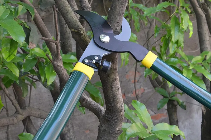 Pruning Shears Gardening Secateurs Garden Scissors Tree Branch Cutter Tesouras Sikatory Garden Tool Free Shipping