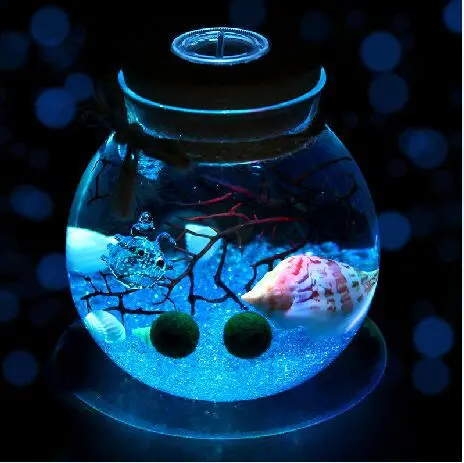 

O.RoseLif Micro Landscape Jar Can Bring Multi-function LED Light Moss Ecological Bottle Ecological Bottle Wedding Decoration