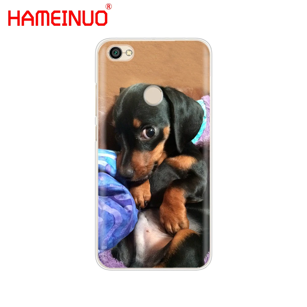 HAMEINUO Симпатичные такса собака добермана крышка чехол для телефона для Xiaomi redmi 5 4 1 1s 2 3 3s pro PLUS redmi note 4 4X 4A 5A