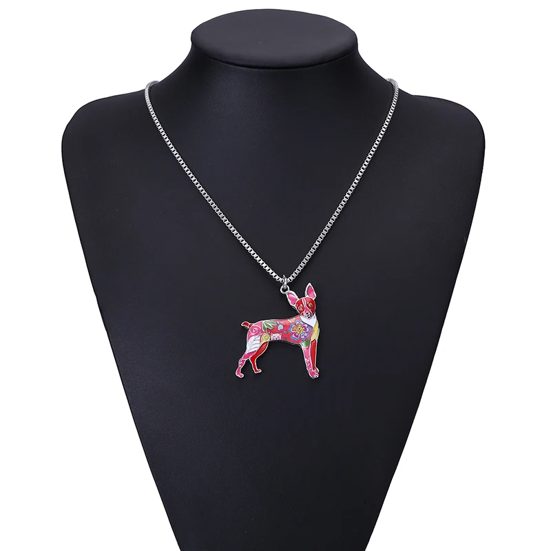 toy fox terrier (3)