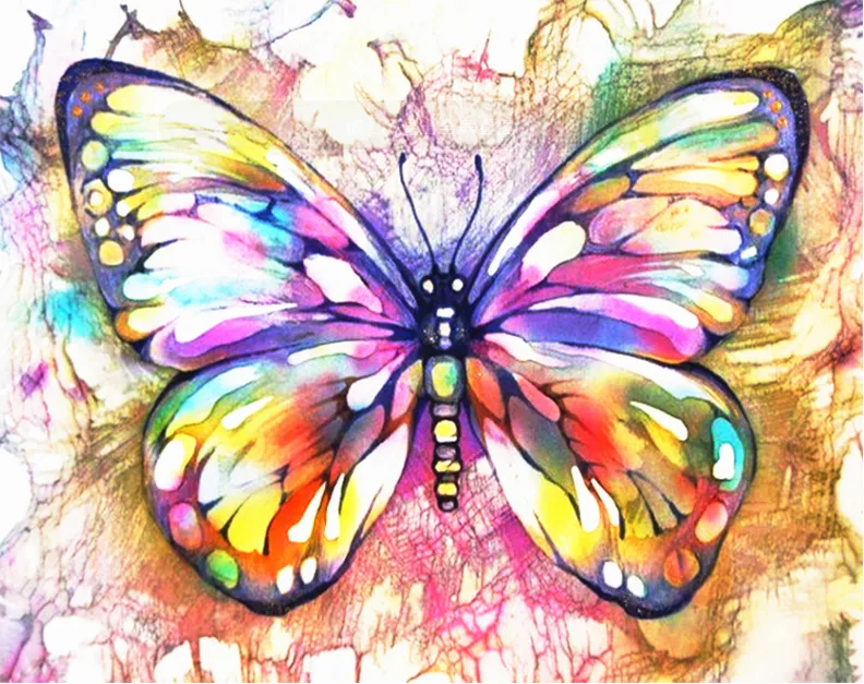 AZQSD Безрамные Картины живопись по номерам бабочка цветок ручная роспись на холсте DIY картина маслом по номерам 40*50 см - Цвет: SZGD234