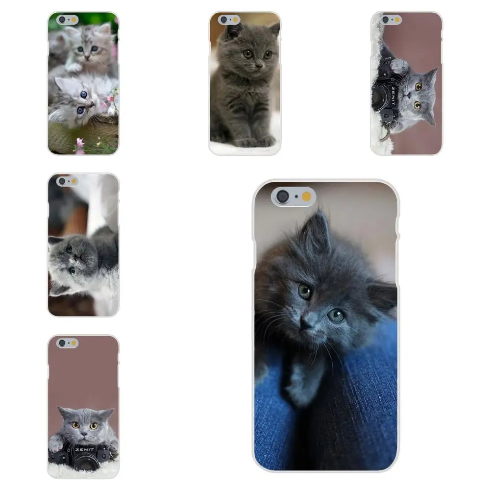 Для Apple iPhone 4 4S 5 5C 5S SE 6 6S 7 8 Plus X XS Max XR классный чехол для телефона с принтом Серая