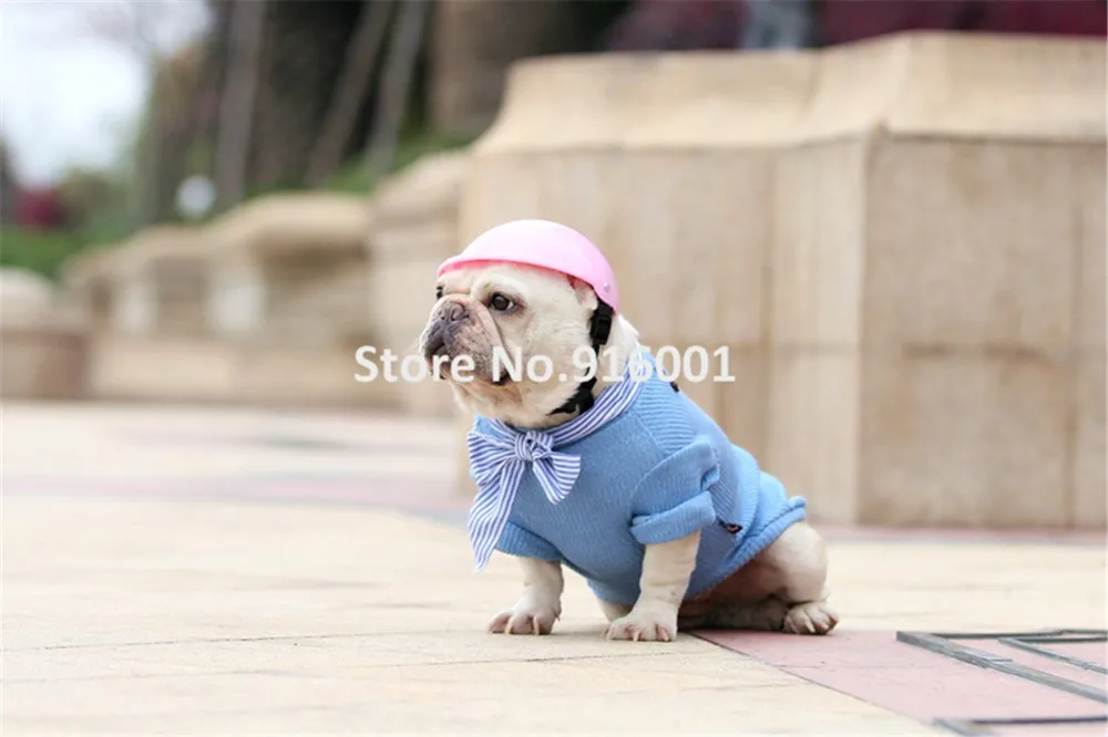 pet dog helmet (1)