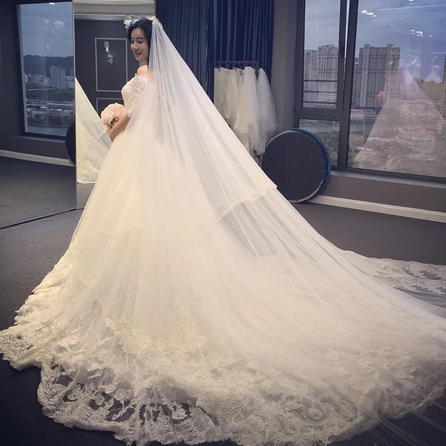 Veil with Chapel Train Wedding Dress
