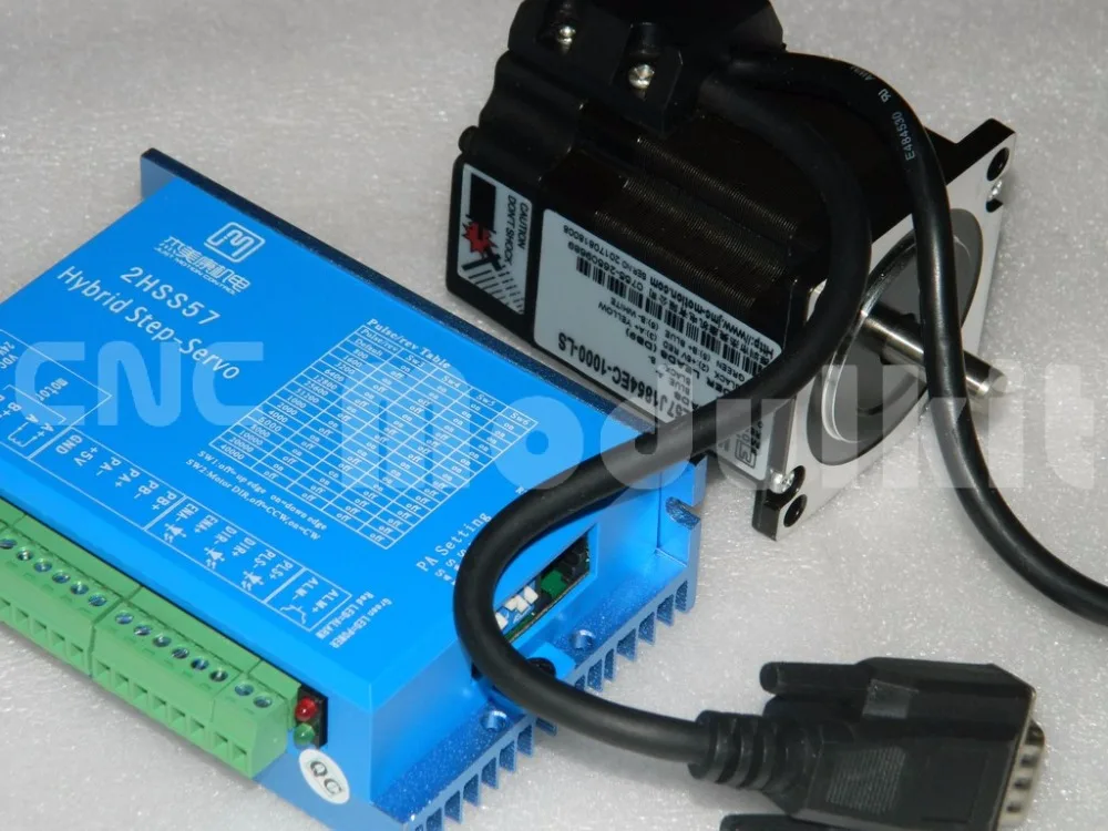 DSCN4150 (Copiar)