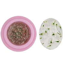 3g засушенные цветы лаки для ногтей ясно CHE gel УФ-гель для ногтей СВЕТОДИОДНЫЙ БИО-Гели Soak Off дизайн ногтей Гель-лак для ногтей, Женская Мода клей для ногтей