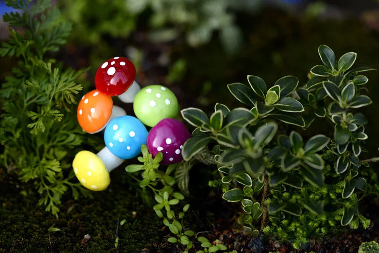 Fairy Garden Mushrooms