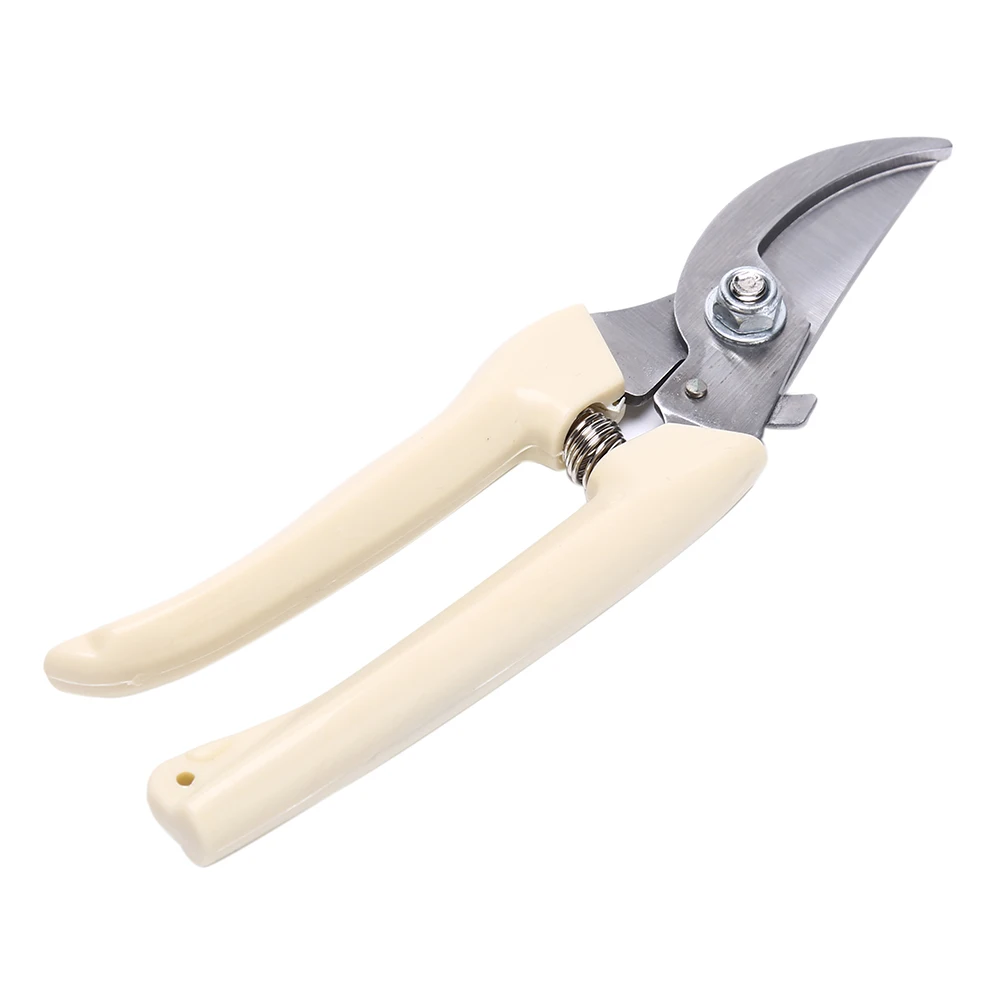 Branch repair scissors Gardening scissors used for orchard and garden