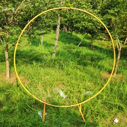 circle wedding props birthday decor wrought iron round ring arch backdrop round arch lawn artificial flower row stand wall shelf - Цвет: Gold A