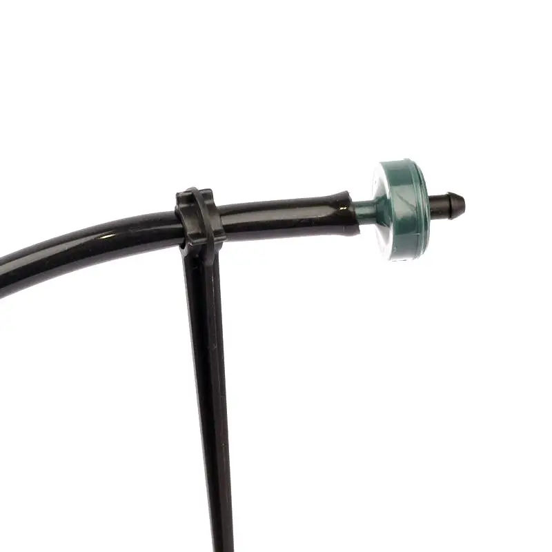 HTB1GLcARFXXXXatXXXXq6xXFXXXP