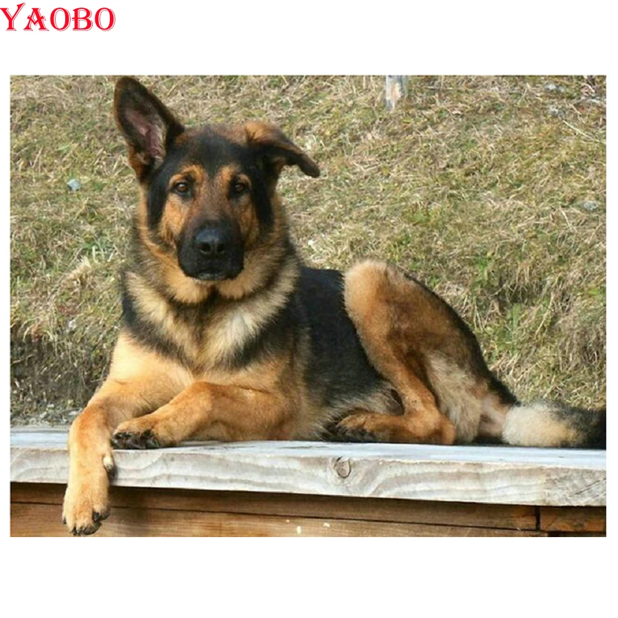 

full square round Diy 5d Diamond Painting German Shepherd Diamond Embroidery picture mosaic Cross Stitch Rhinestone Decoration