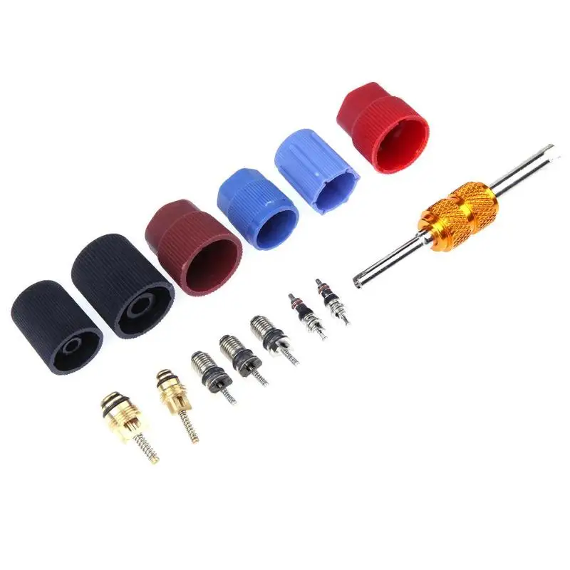 

VODOOL 14pcs Automotive AC A/C System Cap Schrader Valve Core w/ Remover Tool Kit for Universal Car Accessories