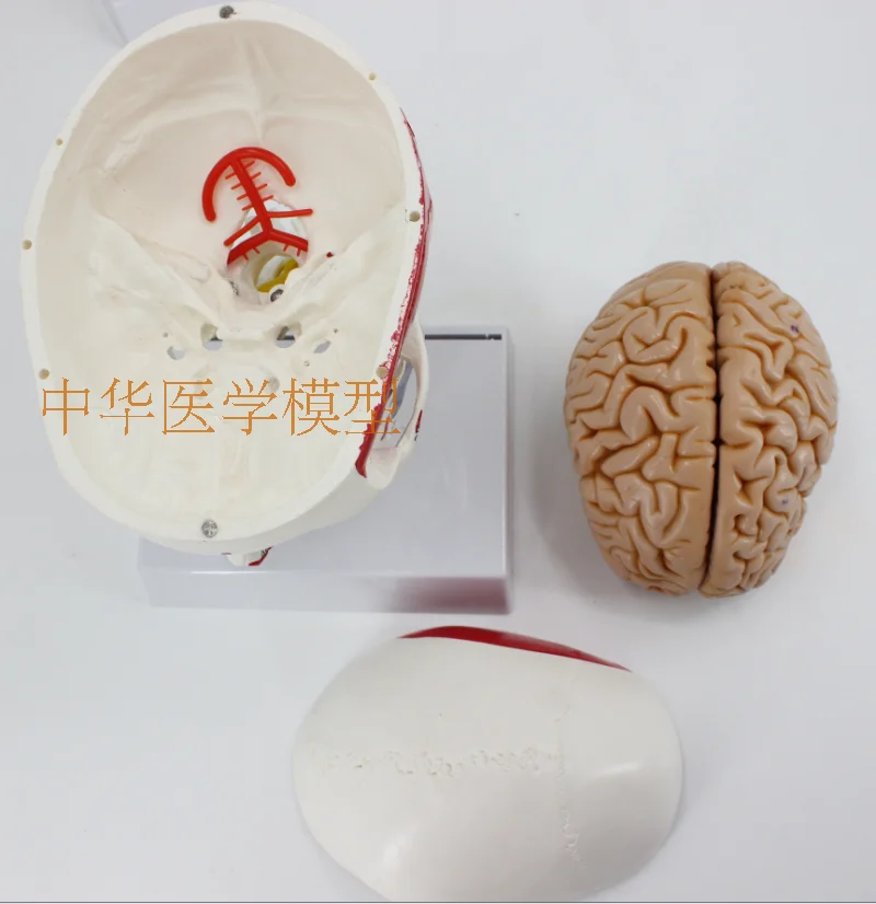 //img.alicdn.com/imgextra/i1/403496940/TB2ngS4aJXnpuFjSZFoXXXLcpXa_!!403496940.png