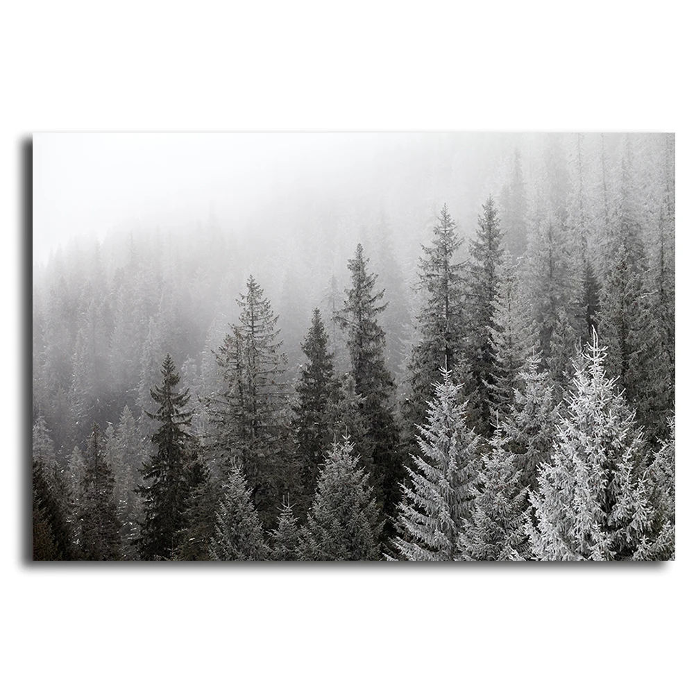 

Black and white landscape Frozen winter forest in the fog Wall Picture Wall art landscape canvas painting home decor Pictures