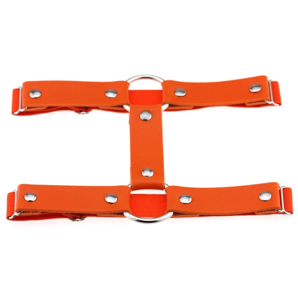 3100070461_1698660574